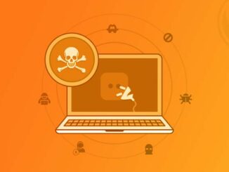 Dangers pour la sécurité et le référencement d’un site WordPress utilisant des nulled plugins.